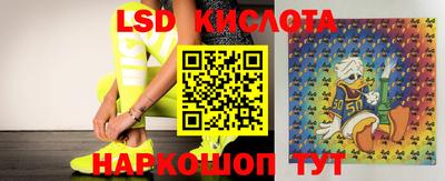 Альфа ПВП Новозыбков