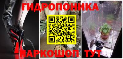 Альфа ПВП Новозыбков