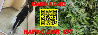 Альфа ПВП Новозыбков