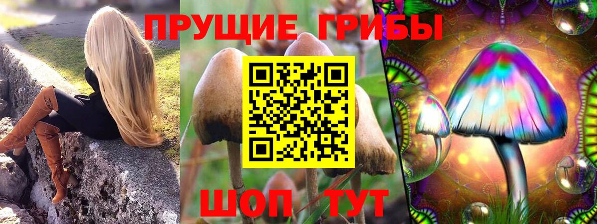 Фрязино  Псилоцибиновые грибы Psilocybine cubensis  Галлюциногенные грибы Magic Shrooms  Вход с VPN 